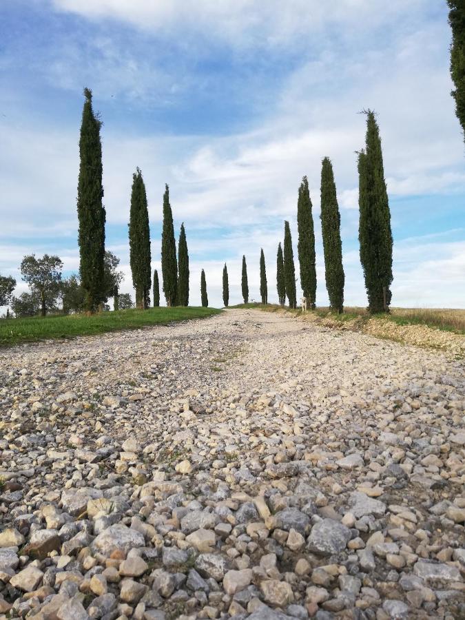 Podere Sant'Antonio Buonconvento Zewnętrze zdjęcie