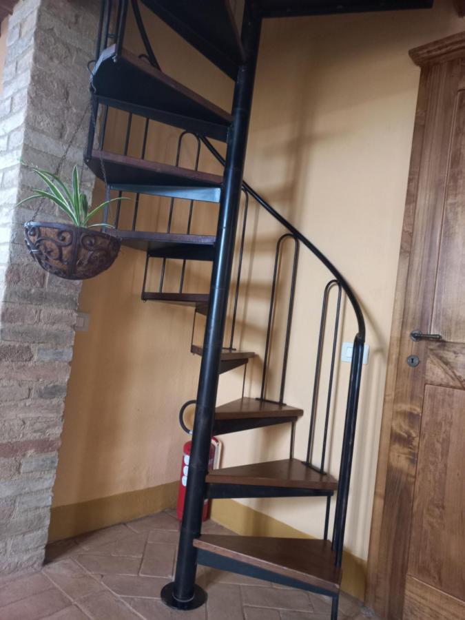 Podere Sant'Antonio Buonconvento Zewnętrze zdjęcie