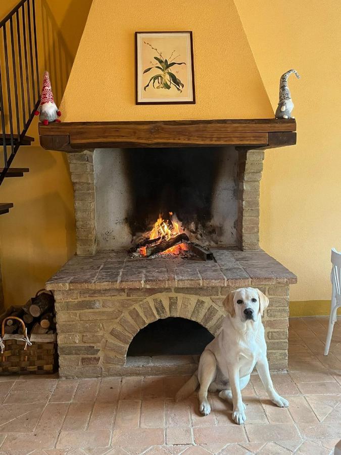 Podere Sant'Antonio Buonconvento Zewnętrze zdjęcie
